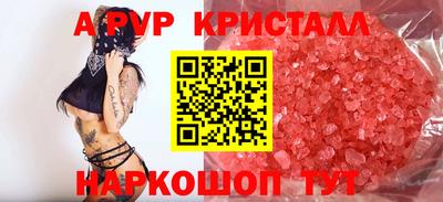 гашик Донской