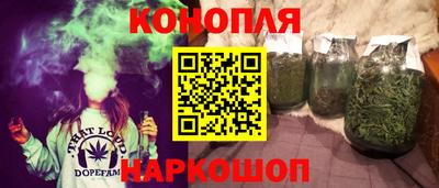 гашик Донской