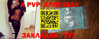гашик Донской