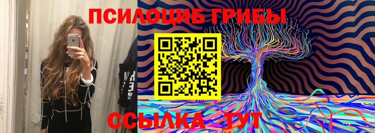 Галлюциногенные грибы Psilocybine cubensis  Вход с VPN  Звенигород 