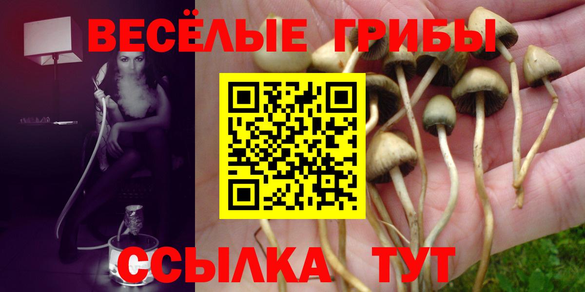 Псилоцибиновые грибы MAGIC MUSHROOMS Звенигород